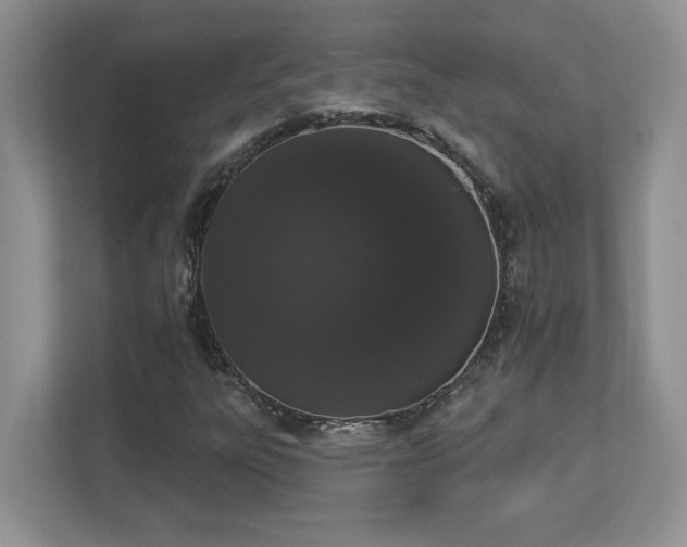 X0000112861303200908211312