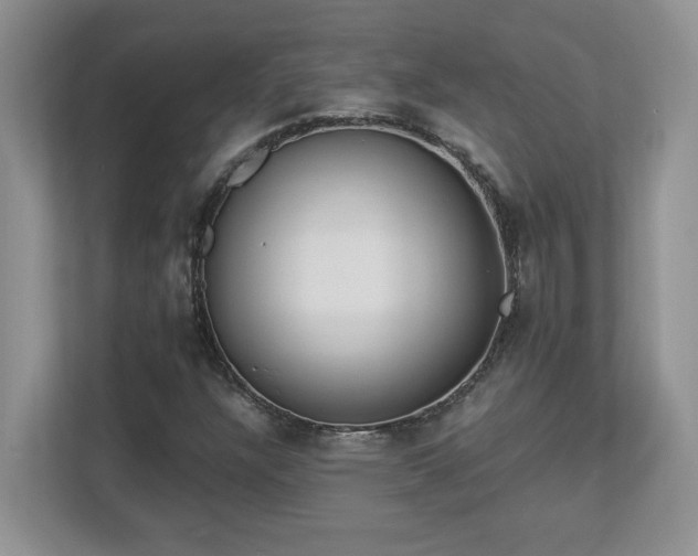 X0000112861304200908211312