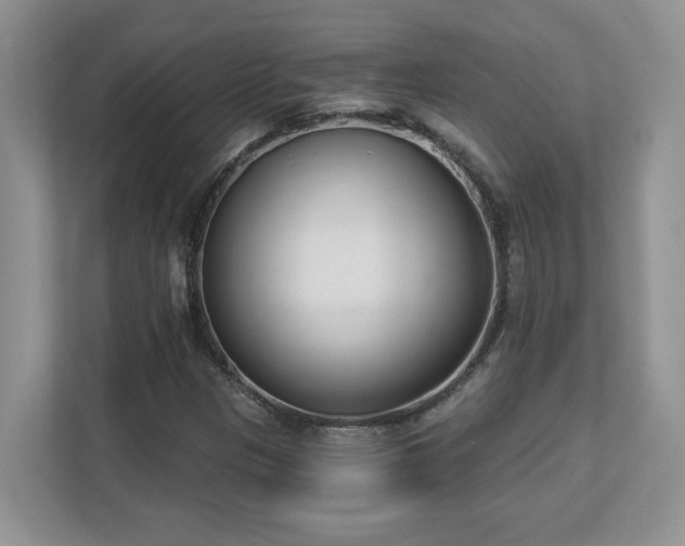 X0000112861305200908211312