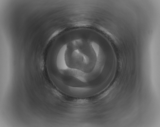 X0000112861306200908211312