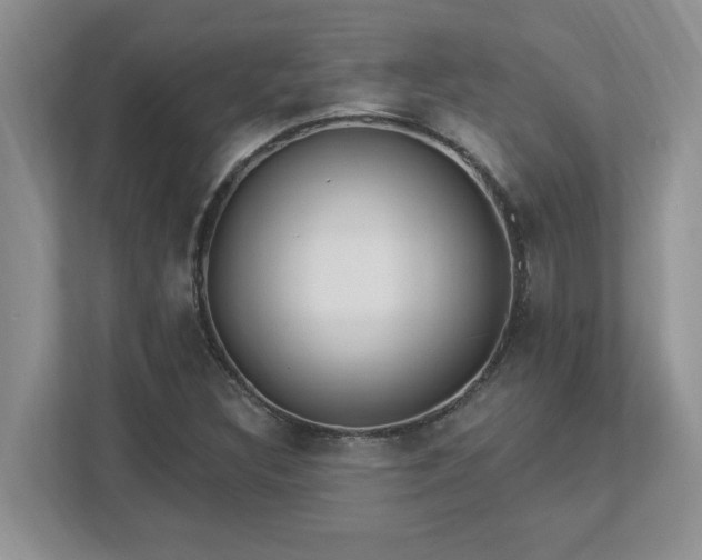 X0000112861308200908211313