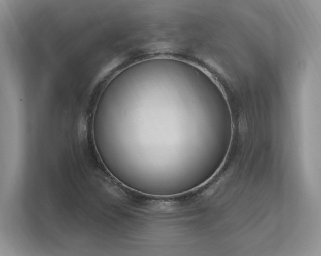 X0000112861309200908211313