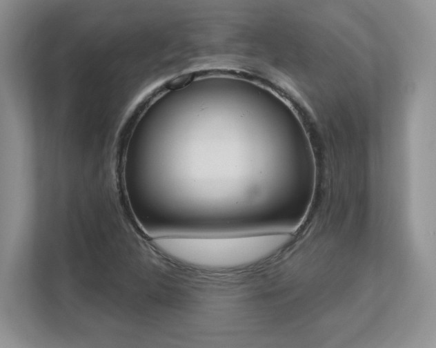 X0000112861312200908211313