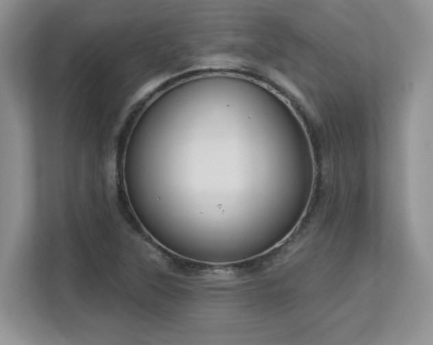 X0000112861315200908211313