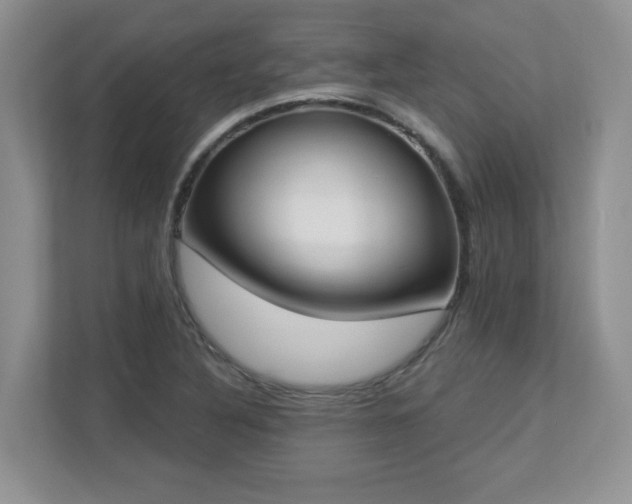 X0000112861316200908211313