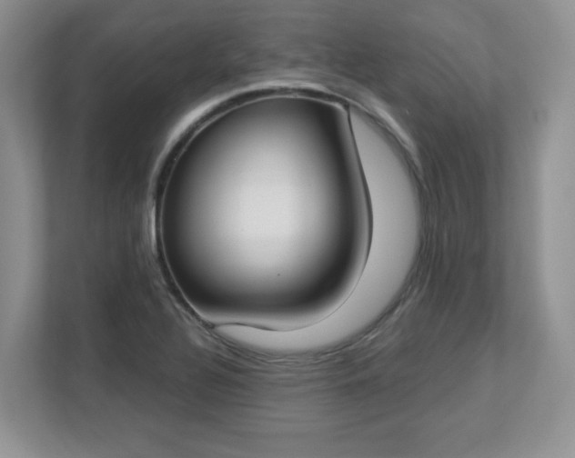X0000112861320200908211313