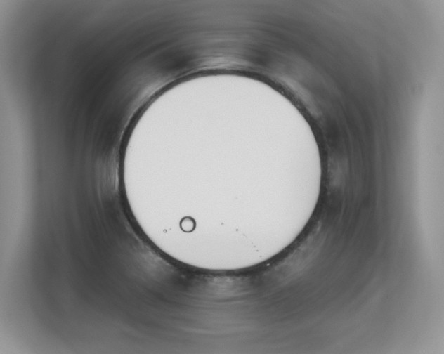 X0000112861322200908211313