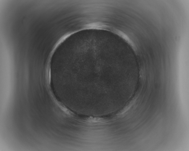 X0000112861323200908211313