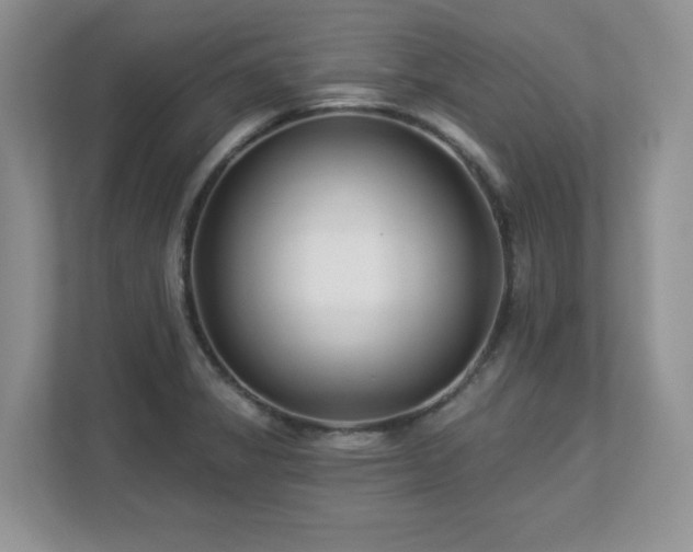 X0000112861325200908211313