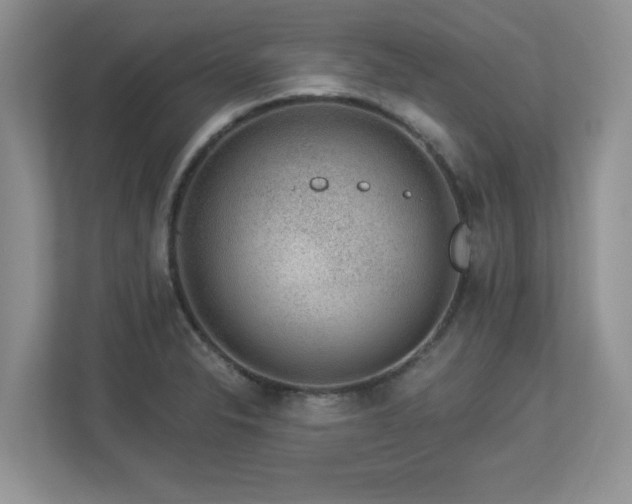 X0000112861326200908211313