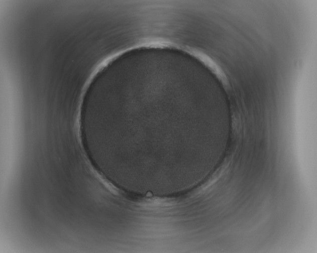 X0000112861327200908211313