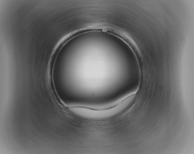 X0000112861328200908211313