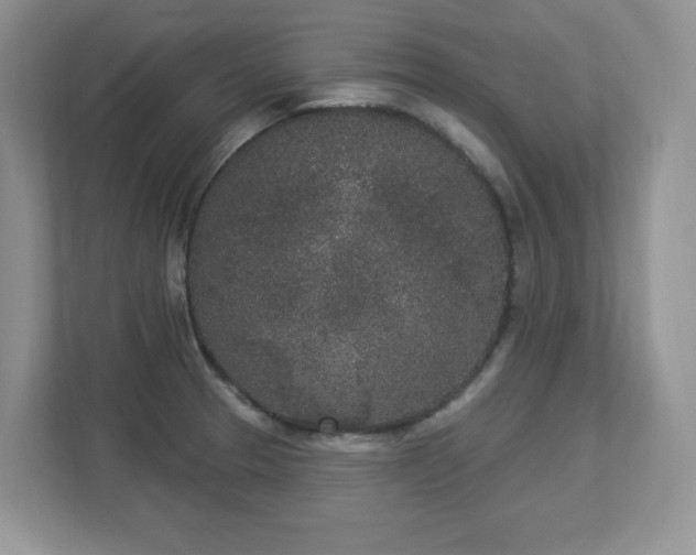X0000112861329200908211313