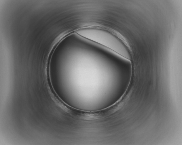 X0000112861330200908211313