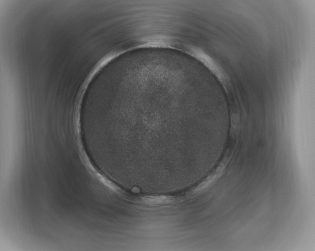 X0000112861331200908211313