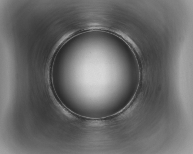 X0000112861333200908211313