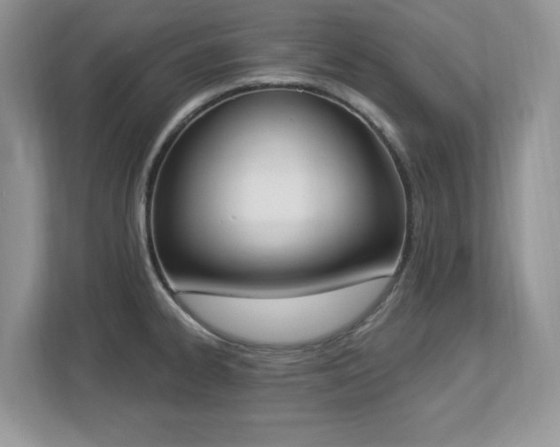 X0000112861334200908211313