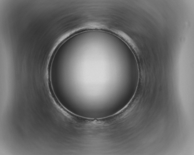 X0000112861335200908211313