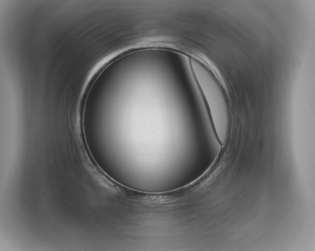 X0000112861336200908211313