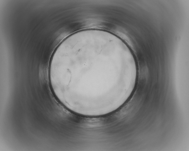X0000112861338200908211313