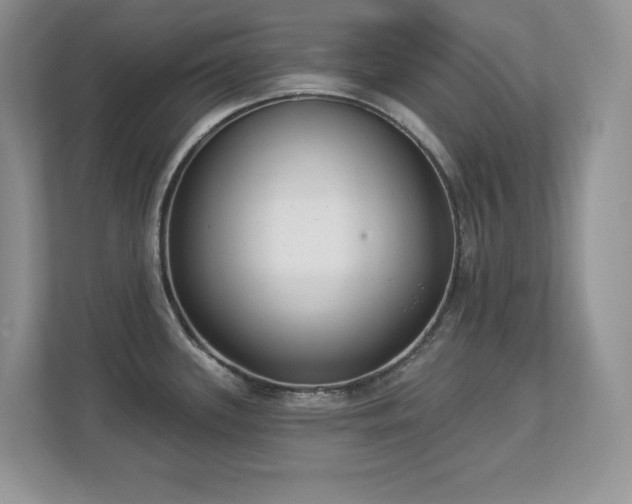 X0000112861339200908211313