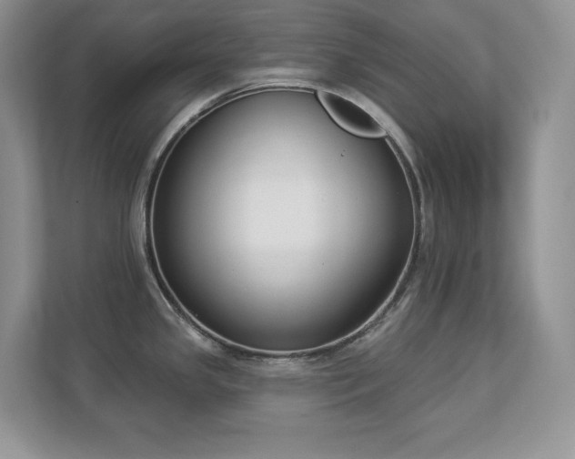 X0000112861341200908211313