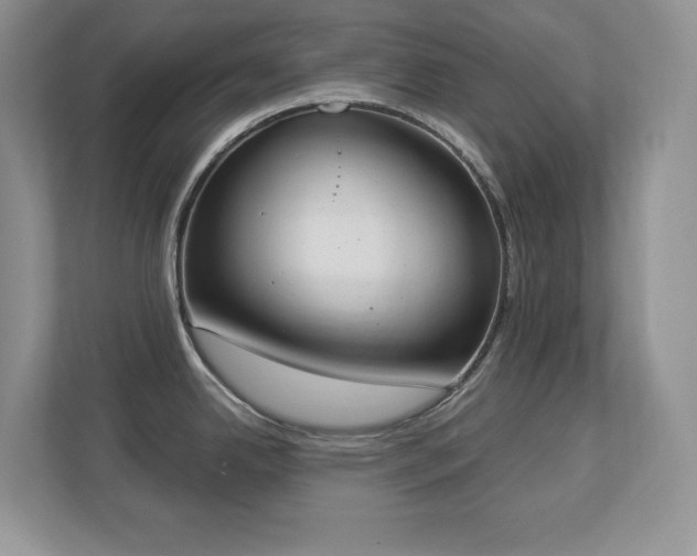 X0000112861342200908211313