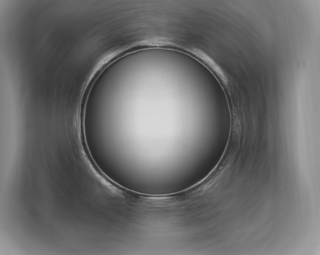 X0000112861343200908211313