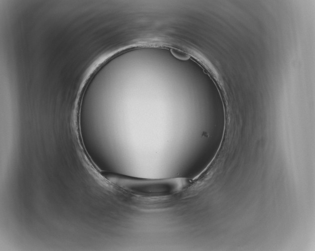 X0000112861344200908211313