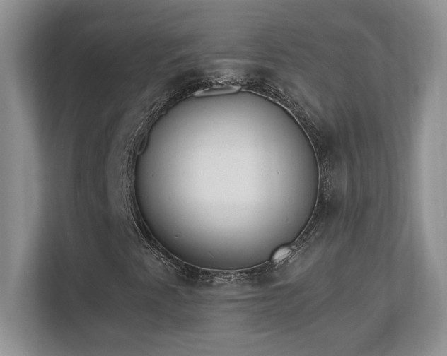 X0000112861345200908211312