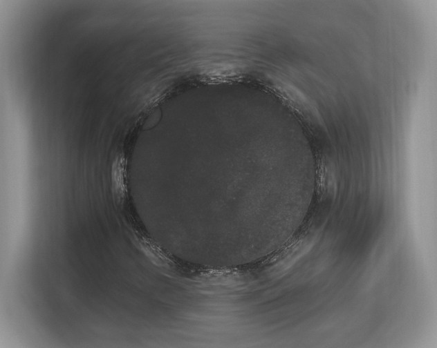 X0000112861346200908211312