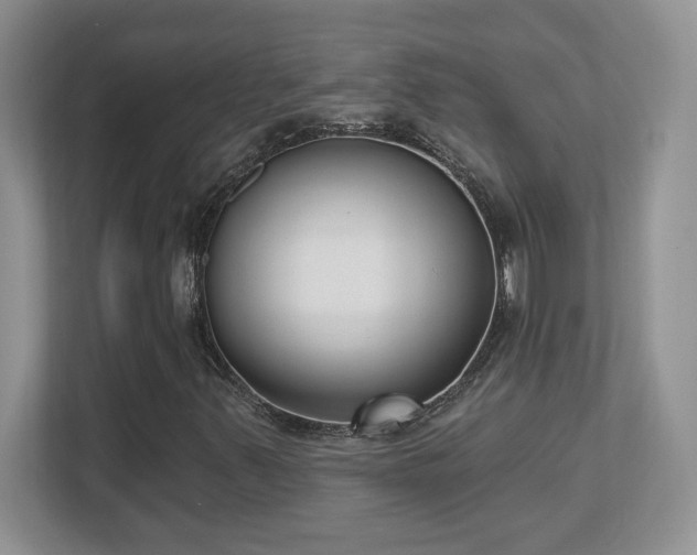 X0000112861347200908211312