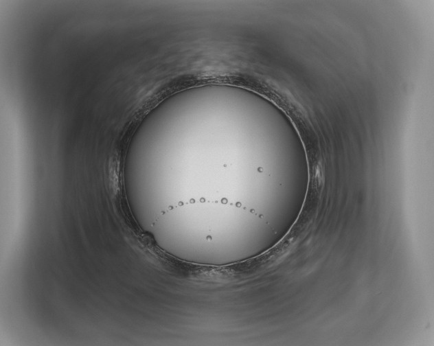 X0000112861348200908211312