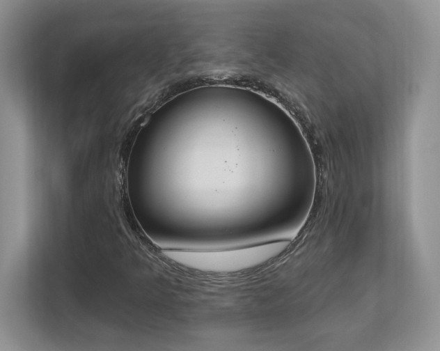 X0000112861349200908211312