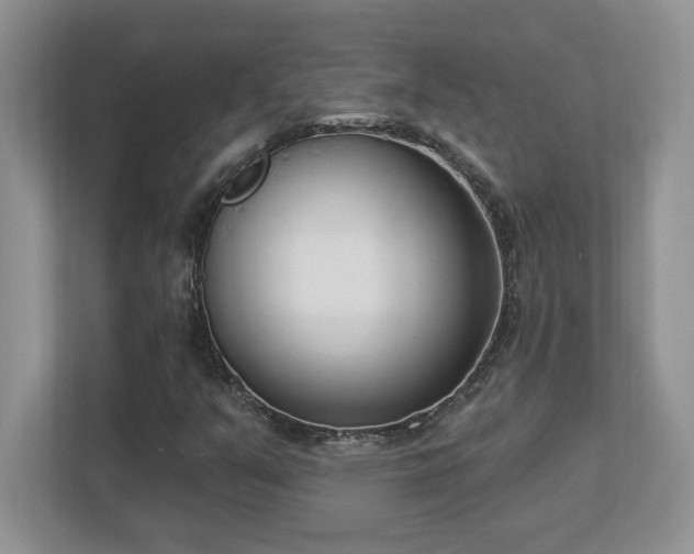 X0000112861351200908211312