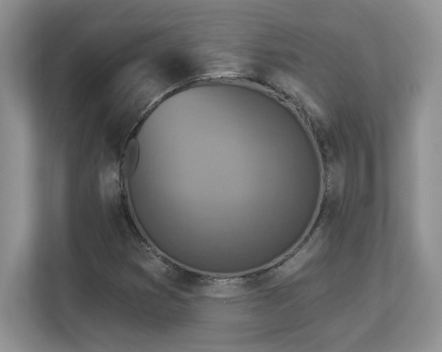X0000112861353200908211312