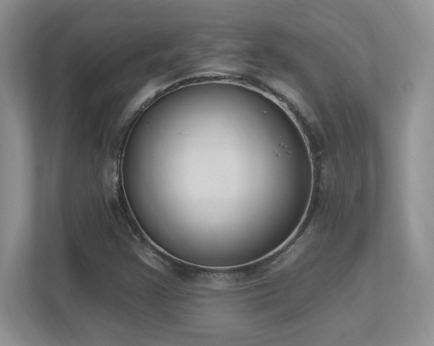 X0000112861355200908211312