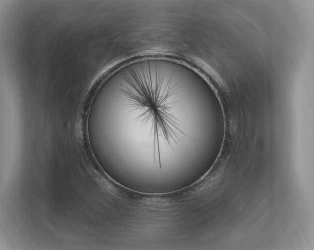 X0000112861356200908211312