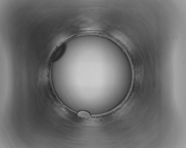 X0000112861357200908211312
