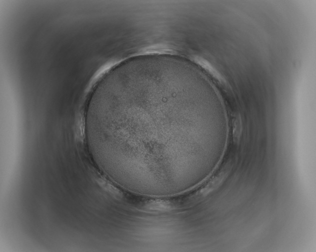 X0000112861358200908211312