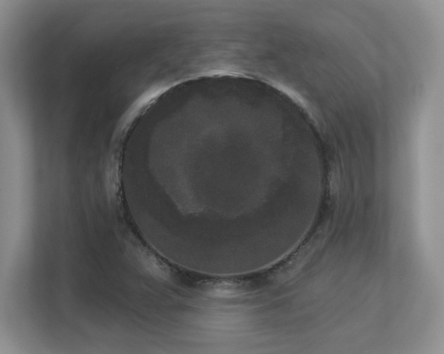 X0000112861359200908211312