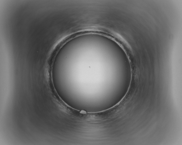 X0000112861360200908211312