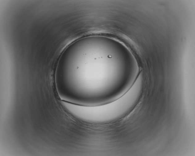 X0000112861361200908211312