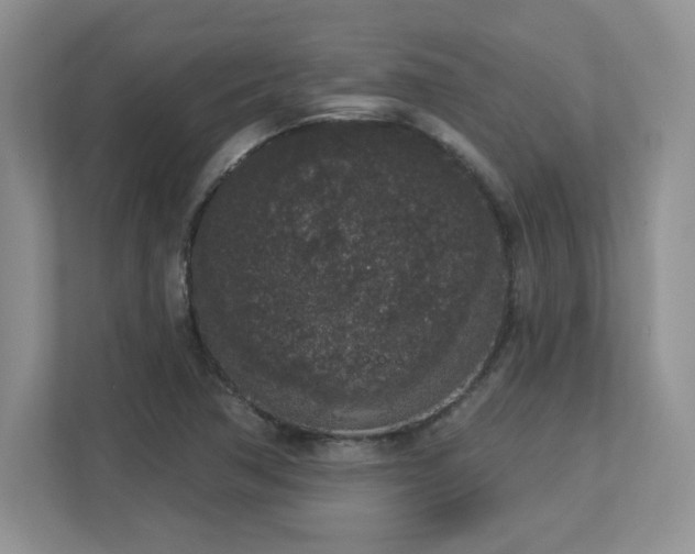 X0000112861362200908211312