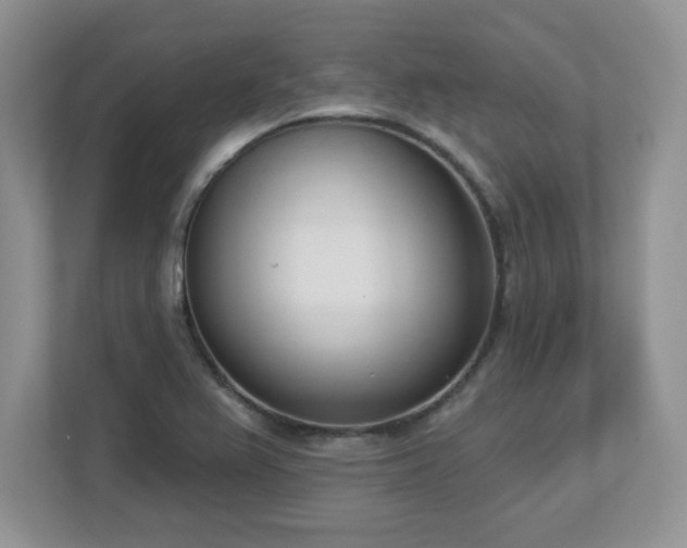 X0000112861367200908211312