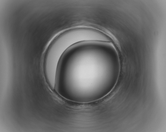 X0000112861368200908211312