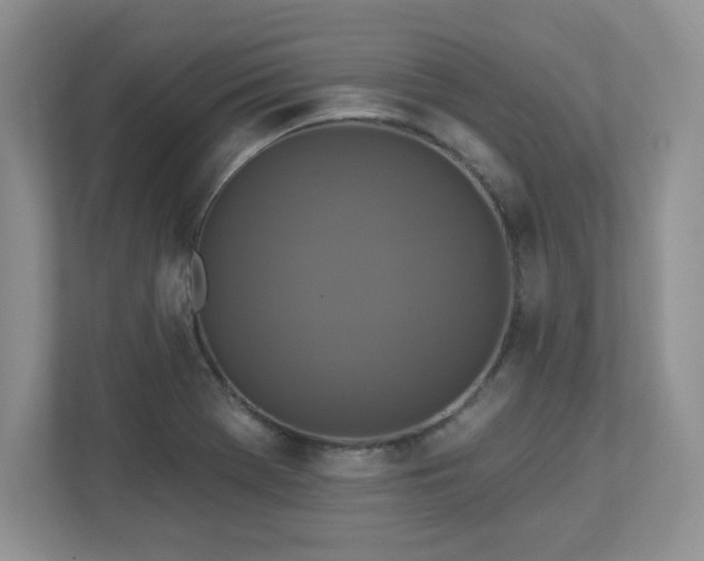 X0000112861369200908211312