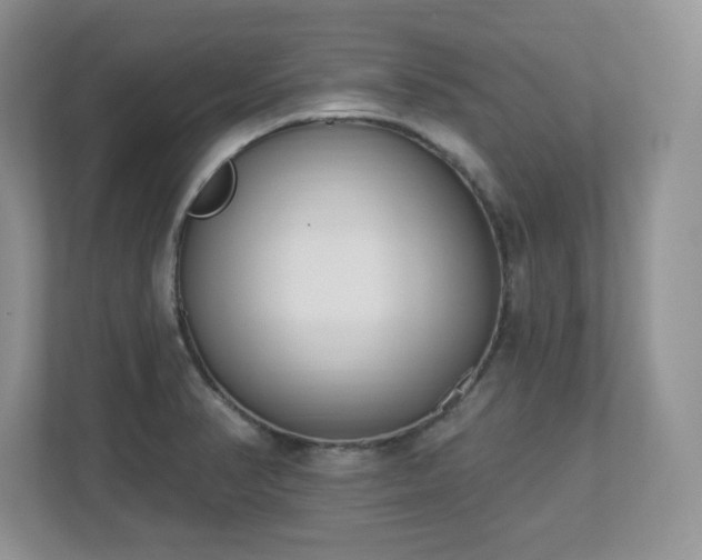 X0000112861374200908211312