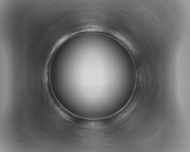 X0000112861375200908211312