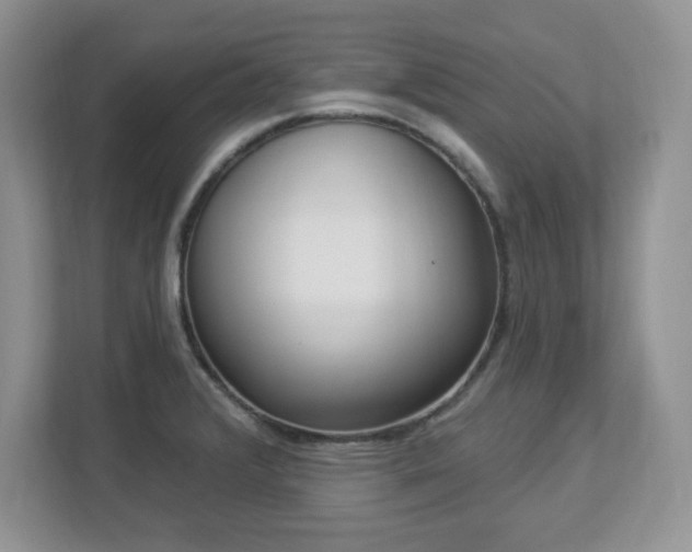 X0000112861376200908211312
